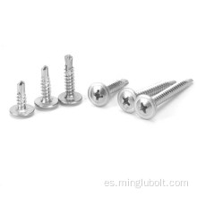 304 316 acero inoxidable auto tocando tornillo